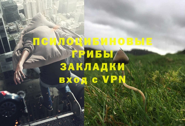 прущие грибы Белоозёрский