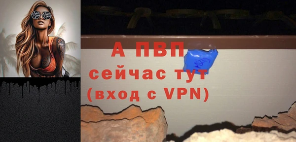 прущие грибы Белоозёрский