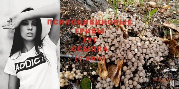 герыч Белокуриха