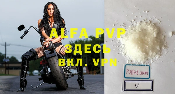 прущие грибы Белоозёрский