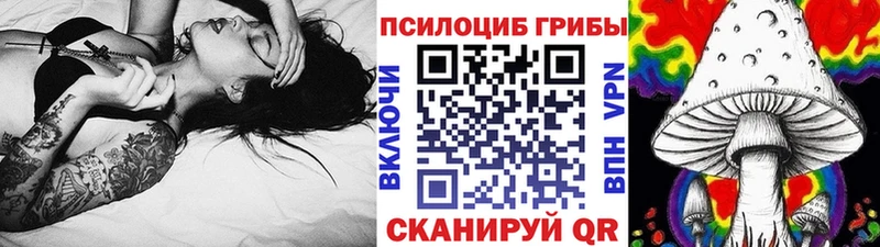 Псилоцибиновые грибы GOLDEN TEACHER  omg вход  Кремёнки  наркота 